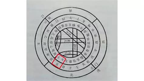 乙丑 五行|八字干支解讀——乙丑：一組充滿矛盾的干支，能彎能。